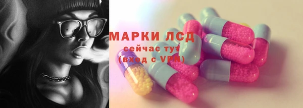ПСИЛОЦИБИНОВЫЕ ГРИБЫ Зерноград