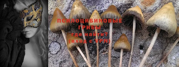 соль курить ск Зеленокумск