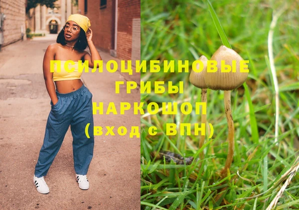 ПСИЛОЦИБИНОВЫЕ ГРИБЫ Зерноград